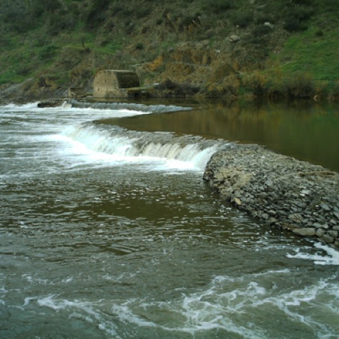 The fish love this Guardiana weir as much as the anglers!